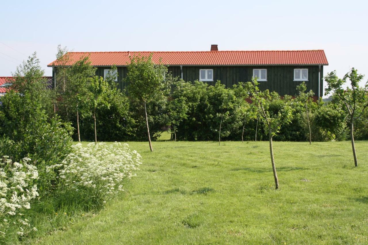 " Haus Zwischen Den Meeren " Strubbel エクステリア 写真